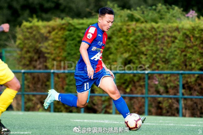 簧片视频下载